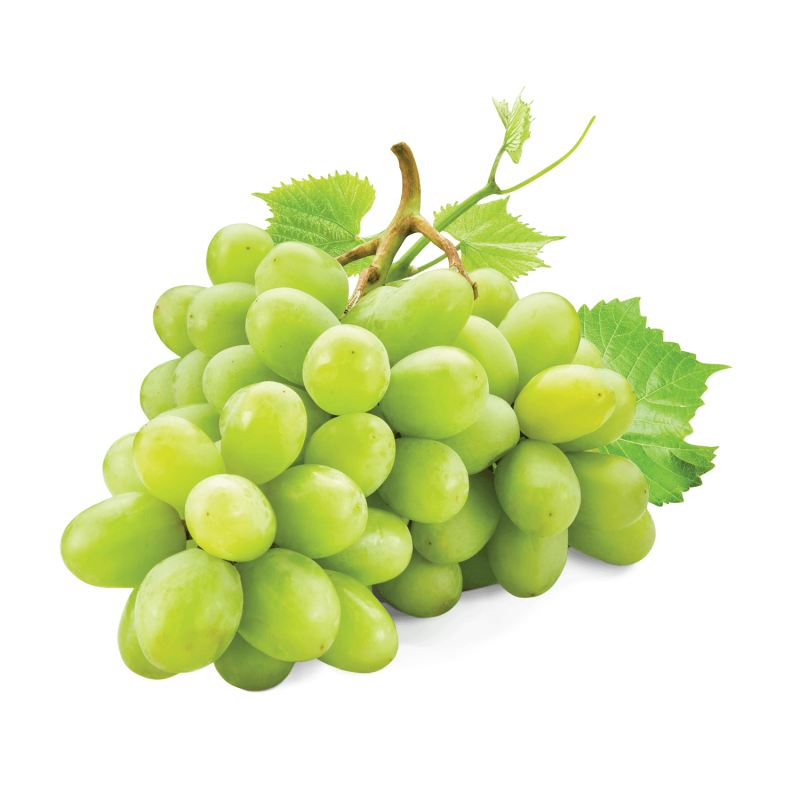 Uva moscatel Uva moscatel