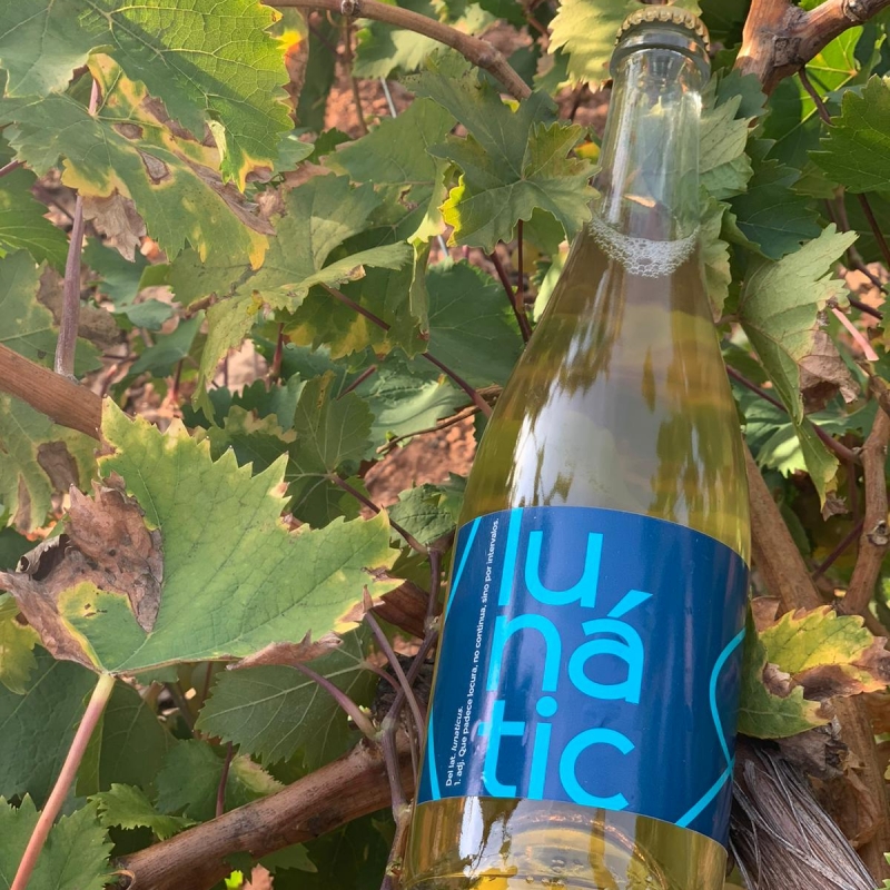 Vino espumoso – lunatic Vino
