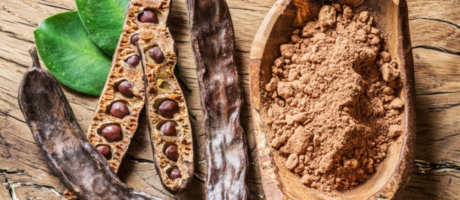 la-algarroba-el-alimento-sin-grasa-que-compite-con-el-cacao la-algarroba-el-alimento-sin-grasa-que-compite-con-el-cacao