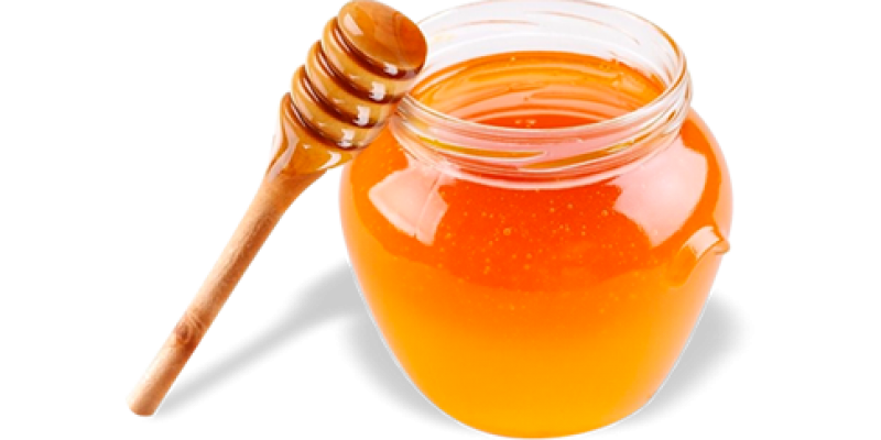 miel Miel